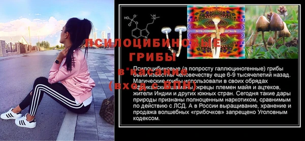 MESCALINE Вяземский